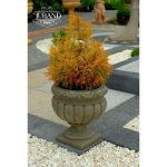 Donica mała pękata