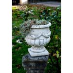 Donica mała smukła