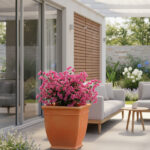 Donica Kompazo duża