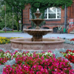 Oczko fontannowe Oczko kwiat